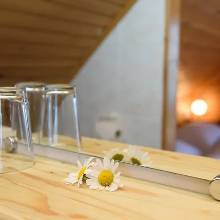 Bistrica 住宿加早餐酒店
